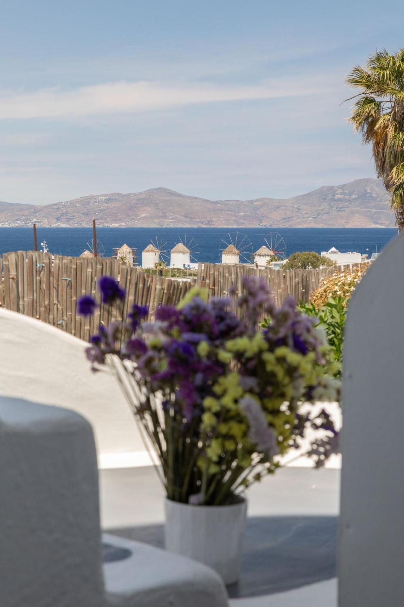 Dimele Aparthotel Mykonos Town Ngoại thất bức ảnh